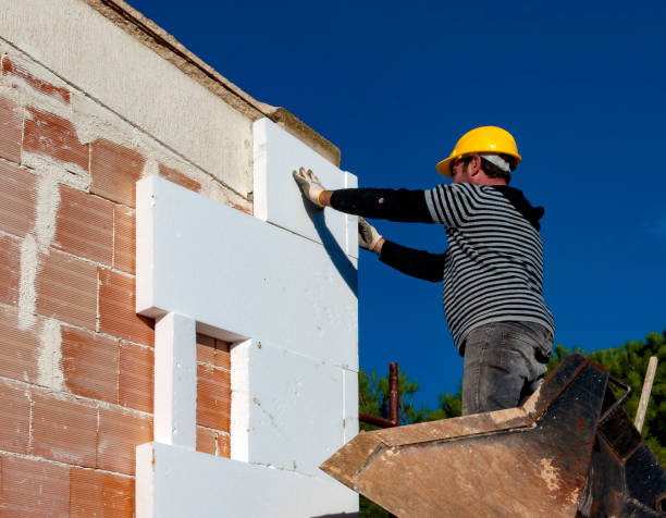 Best Spray Foam Insulation  in Winnie, TX