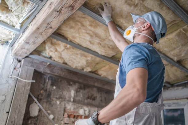 Best Insulation Contractor Near Me  in Winnie, TX
