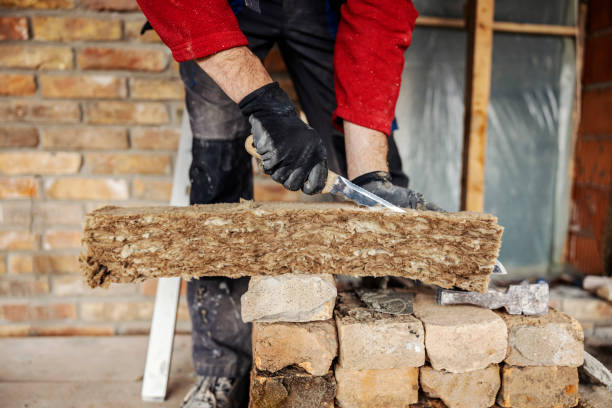 Best Cellulose Insulation  in Winnie, TX