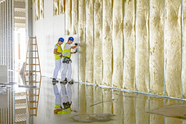 Best Garage Insulation Installation  in Winnie, TX